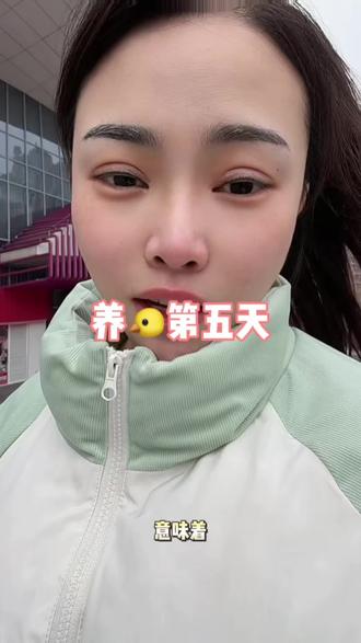 养🐔第五天
实时估值看不到该怎么办呢?
有平替的吗#狗总 #理财#基金#日常vlog