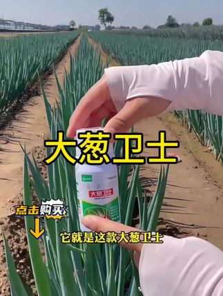 大葱卫士#大葱卫士 #病虫害防治 #三农 #农业种植 #效果好