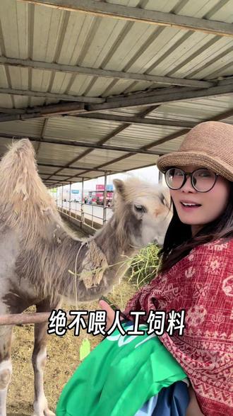这次从新疆回来,才认识到强大的工厂实力才是产品的核心竞争优势!#新疆 #驼奶 #正能量 @罗家婆媳店 @勤毛小院 @罗家婆媳