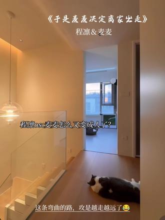 麦麦自己都懵了😂#于是麦麦决定离家出走