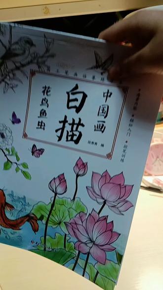 一起画小肥鸟,用了30多分钟,求点赞