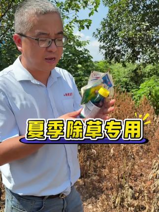 夏季草相复杂不知道怎么选?看看这个视频#小飞蓬 #牛筋草 #茅草 #水花生