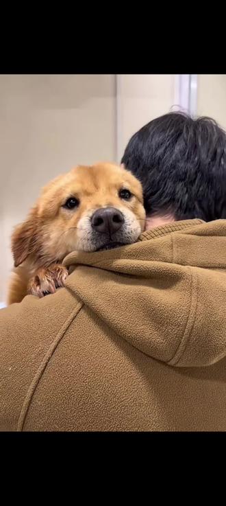 可爱莲梅来了,萌鼠了,太想rua一下了😍😍今天也是个特别的日子,祝最好的骏良@骏良🍰 生日快乐🎉🎉,新一岁要继续开心快乐,做想做的事,越来越好!✨#骏良 #莲梅 #骏良莲梅 #骏良