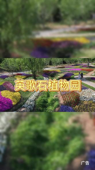 英歌石植物园520浪漫花海 5.20号到5月24号,情侣入园可免费领取玫瑰花1支(数量有限,先到先得)#大连的浪漫如诗如画 #英歌石植物园 #跟着东北超游东北 #花海 #大连旅游攻略