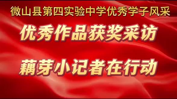 微山县第四实验中学(实中集团南校区)