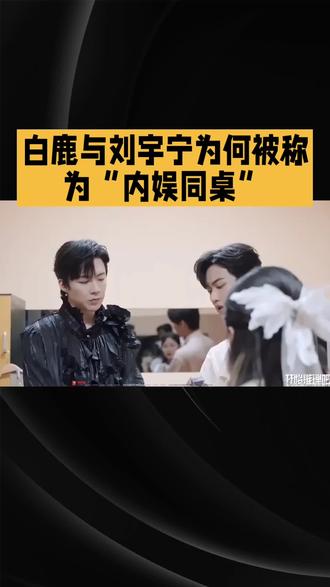 白鹿与刘宇宁为何被称为“内娱同桌”