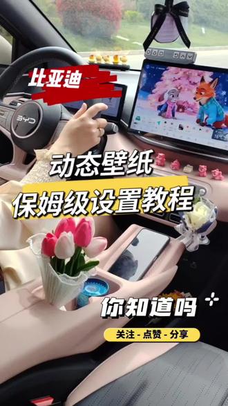 比亚迪车机动态壁纸保姆级设置教程 比亚迪车主集合!三个步骤教会你免费解锁车机动态壁纸,赶快学习起来吧!#比亚迪 #带你懂车 #每天一个用车知识 #动态壁纸
