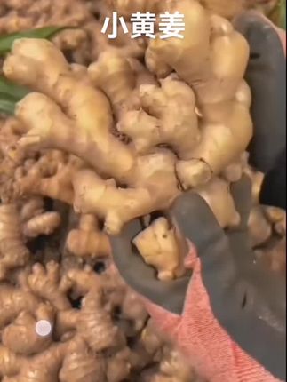 #小黄姜