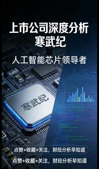 上市公司深度分析-寒武纪#芯片 #半导体 #股票 #证券 #投资