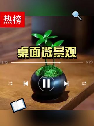 【幸运四叶草】陶瓷盆桌面微景观办公室茶桌造景创意小绿植造景#桌面微景观 #绿植 #好物推荐🔥 #今日分享