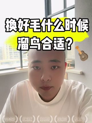 爱鸟护鸟!#爱鸟护鸟爱大自然 #爱鸟护鸟 #雀膳堂#