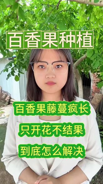 百香果藤蔓疯长,光开花不结果,到底怎么办?#百香果#百香果种植#百香果高产#种百香果
