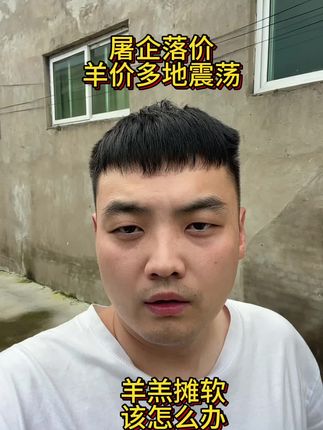 #羊价行情 #养羊 #养羊人 #农村养羊 #三农