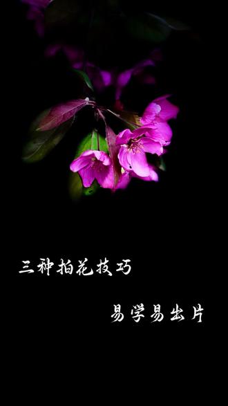 #原创摄影作品 三种拍花技巧,简单易学又出片,#手机摄影#手机摄影教学#一镜到底拍摄技巧