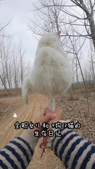 中咪COS草莓馅汤圆#vlog