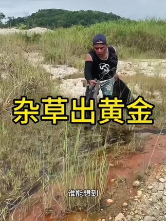 小哥确实够专业,这一次又让他收获颇丰