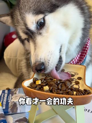 养狗的朋友快来薅顽皮新品5.0犬粮的羊毛了~可惜一个账号只能薅一单#狗粮推荐 #顽皮wanpy #新手养狗 #萌宠好物