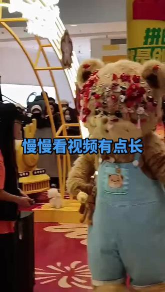 #暴暴 #暴暴熊 两点站到暴暴四点来又到他离开现场,为了看他直了,