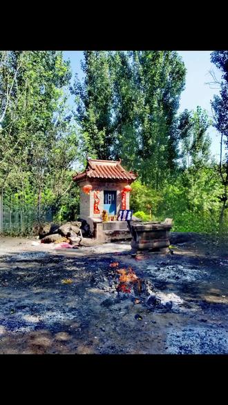 龙宫,位于潍坊市坊子区石沟河村西南的龙潭北侧,是当地群众为感念曾经栖息于龙潭的“秃尾巴老李”的恩德,祈求风调雨顺而建。传说,“秃尾巴老李”本姓王,是一条黑龙,生于昌乐,被其兄长剁下了尾巴后,来到高密李家庄,被李姓老翁收养,改随义父姓李。义父带他来龙潭养伤,伤愈后,小黑龙去往了黑龙江,占江为王。龙宫及龙潭不仅是石沟河村的命脉与历史见证,更承载了深厚的民间信仰和代代相传的乡愁记忆。#二月二龙抬头 #龙宫 #坊子区石沟河村 #龙潭 #秃尾巴老李