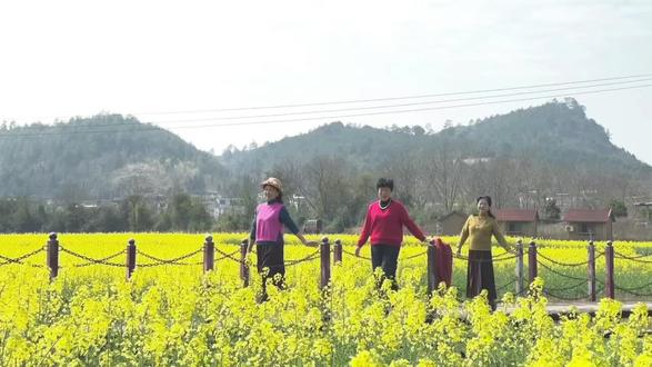 2026年春节,油菜花开在我们行走的路旁