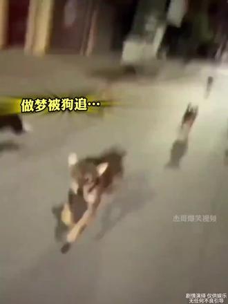 看完不笑算我输 #搞笑 #搞笑视频