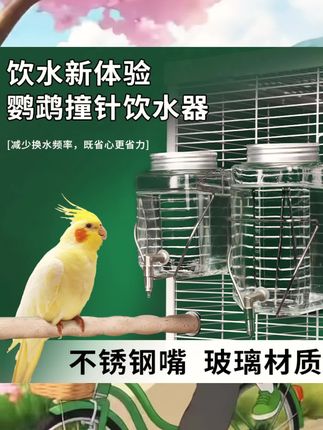 鹦鹉撞针水壶蜜袋鼯自动饮水器不漏水豚鼠龙猫专用喂水壶大容量#鹦鹉日常 #养鸟 #好物推荐🔥 #撞针饮水器 #自动饮水器
