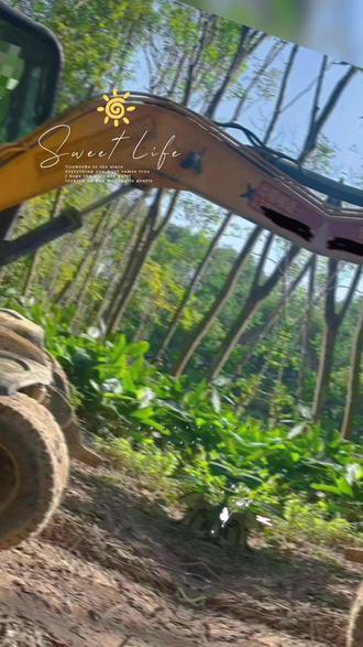 20新源75-8六六6️⃣