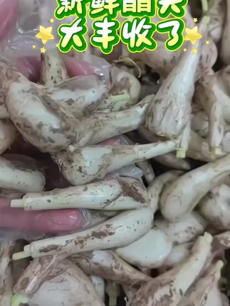 #优质农产品 #三农 #藠头 #剁椒藠头