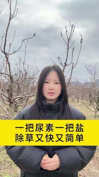一把尿素一把盐,除草又快又简单#三农#樱桃种植#樱桃管理