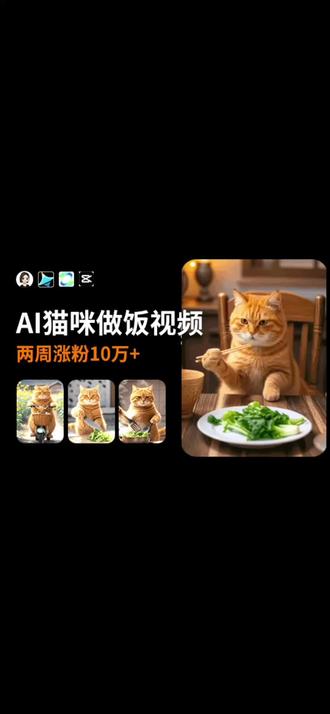 猫咪做饭视频涨粉神器 视频Ai制作ai软件的使用说明#猫咪ai做饭视频#猫咪做饭视频教程