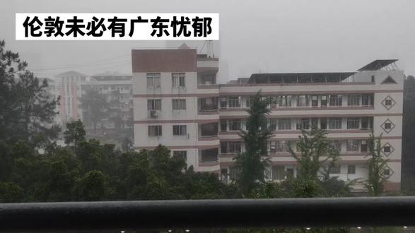 伦敦未必有广东忧郁#广东暴雨 #广东 #雨天