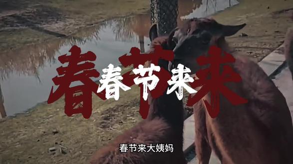 大年初一来大姨妈,本来以为是倒霉,今天才听到一个词,鸿运当头!