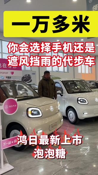 #阜新鸿日汽车 #性价比超高 #老年代步车 #原创视频 你有一万多米,你会选择哪个