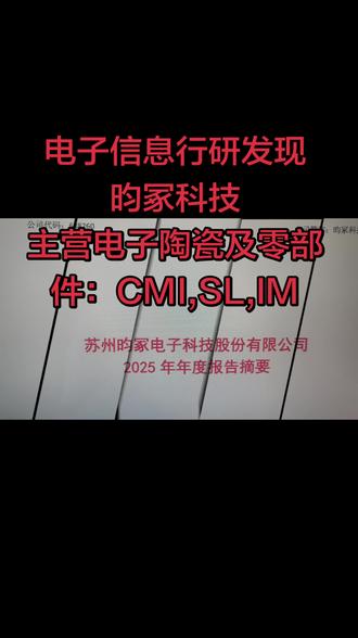 苏州电子信息产业行业研究