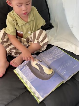 很惊喜的一本书,现在孩子每天都吵着要看,整本书都是高清大图,涵盖了200多种动植物昆虫,特别有趣,看完知识量暴涨#亲子阅读 #幼儿启蒙 #好书分享 #儿童读物 #儿童绘本