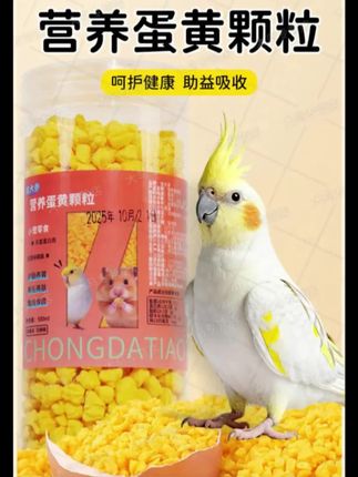 蛋黄颗粒可是鹦鹉超爱吃的小零食,增肥同时羽毛也更加靓丽!#鹦鹉#养鹦鹉 #鹦鹉食品