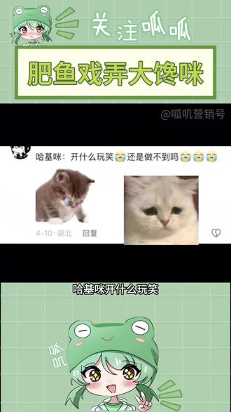 小鼻嘎被鱼尾扇飞的时候好搞笑啊!#禁止废话#省流#冷知识#科普#dou是知识点 #拒绝废话#科普#冷知识#省流