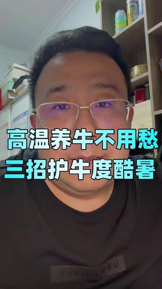 天热牛易出问题?记住这三招!物理降温不能少,调整饲喂时间, #养牛干货 #牛热应激防控 #夏季牛场管理 #肉牛养殖