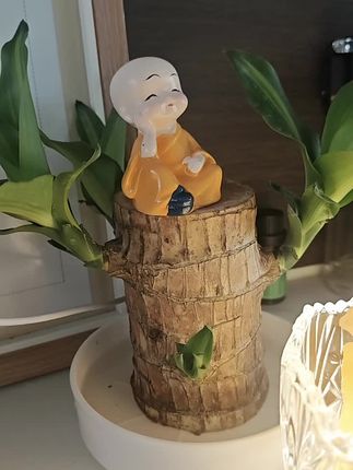 会带来幸运的巴西木,只要有水就可以活,还会开花🌼哦#治愈系种子盆栽 #小玩意 #治愈心情