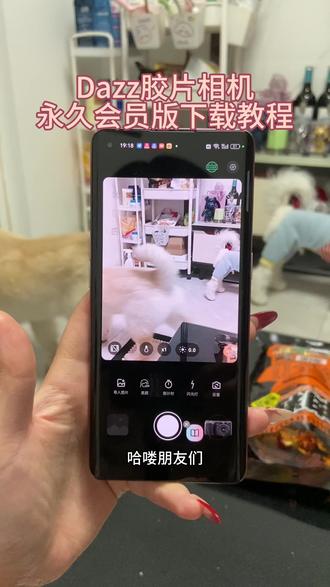 《幸运小狗》Dazz胶片复古相机下载教程来啦#dazz相机 #dazz相机怎么下载 #dazz相机下载教程 #dazz