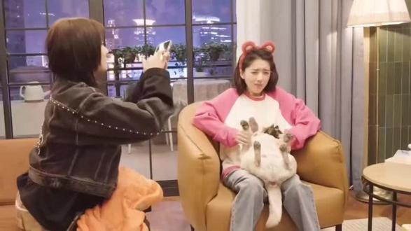 《他为什么依然单身》小狗“道哥”有多受欢迎