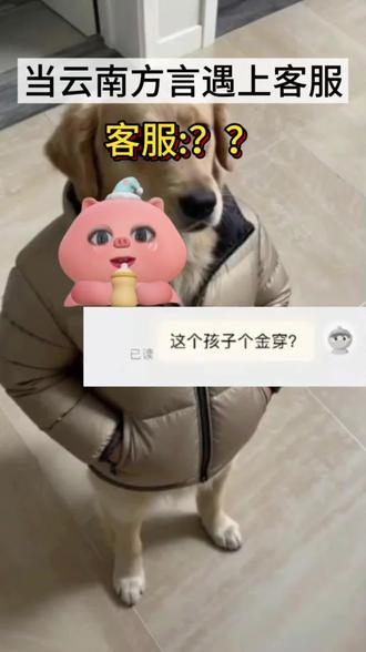 当云南方言遇到客服#云南方言 #搞笑配音 #抽象