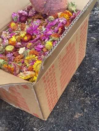 求人时的卑微你还想在经历吗,只有自己有了腰才直,做起来,让我们不必再看他人颜色#施食