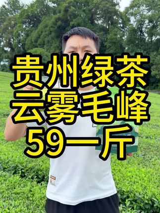 贵州高山云雾毛峰,高品质低价位的口粮茶#源头实力厂家 #绿茶