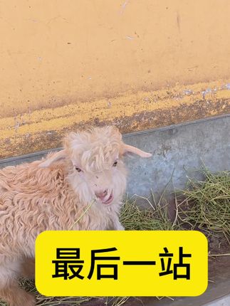 #骑行 #昆明到新疆#原创 在这特别感谢这一路支持我喜欢的您们 我亲身感受您们的热情了 我一开始说过不想麻烦别人 但是您们热情无法用语言表达 我的下一站过几天直接回家 感谢您们的支持 可能因为我这个决定也有人还说各种各样的话 但是我也不会反驳也不会过度解释 这样做的第一原因 我太麻烦到别人了 希望您们理解我的意思 本来这最后一千多公里不苦不难应该我最能享受的