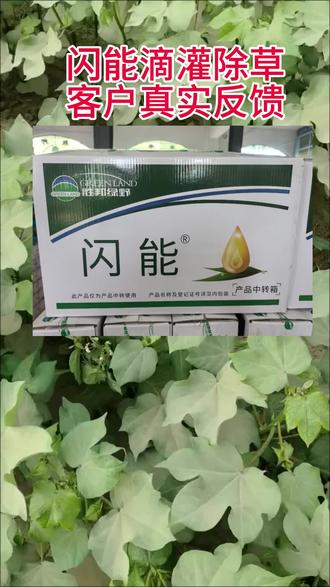 真实反馈,滴灌两天效果,闪能滴灌除草#启蒙农业 #瑞立博 #滴灌除草 #闪能滴灌除草