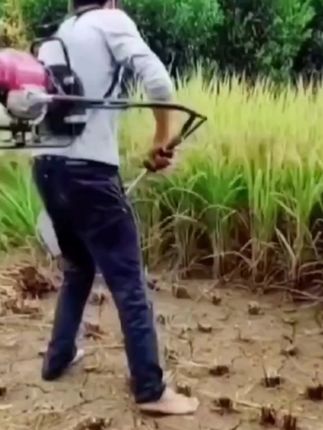 五羊本田大功率汽油割草机四冲程背负式多功能农用开荒除草收割机