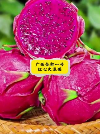 H金都一号红心火龙果带箱5斤单果400g起约3-6个多仓发货#红心火龙果 #广西火龙果 #皮薄肉厚果肉饱满 #自用好物分享 #应季水果 @DOU+小助手