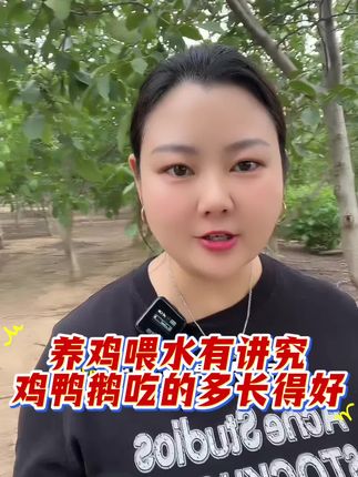#上热门 养鸡喂对水,鸡群肥又美#三农 #农村创业养殖 #科学养鸡 #农村养鸡人