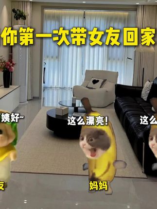 “当你第一次带女友回家时”#猫meme#内容启发搜索#搞笑
